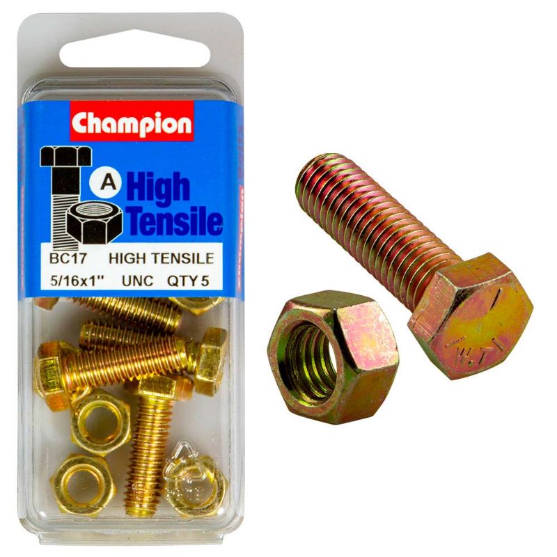 Champion 1 x 5/16in Set Screw & Nut (A) - GR5, featuring durable Grade 5 steel for reliable fastening in various applications.