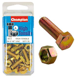 Durable Champion 3/4in x 1/4in Set Screw & Nut (A) made of Grade 5 steel for reliable fastening in various applications.