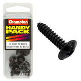 Champion 10G x 1/2in black zinc set screw with washer face for durable, corrosion-resistant fastening in various applications.