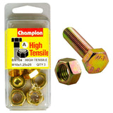 Champion M10 x 25 x 1.25 Set Screw & Nut (A) - GR8.8, high-strength fasteners for heavy-duty and everyday applications.
