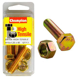 Champion M10 x 45 x 1.25 set screw and nut, made from durable grade 8.8 steel, providing superior fastening strength and corrosion resistance.