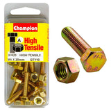Champion M6 x 25 set screw and nut, made from high-grade steel for superior strength and corrosion resistance. Ideal for various fastenings.