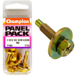 Champion M6 x 25mm hex bolts with flat washers, ideal for durable fastening in DIY and professional projects. Pack of 4.