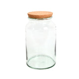 Elegant half-open terrarium bottles made from recycled glass, perfect for showcasing indoor plants, set of 4, 7L capacity.