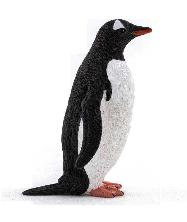 penguine_RGICYM0DWWFW.PNG