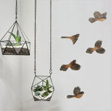 Stunning printed wall art set featuring five elegant fantail birds on brushed silver ACM panels, perfect for home decor.