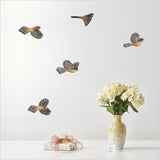 Elegant Printed ACM Fantail Set featuring 5 delicate bird designs on 4mm brushed silver panels, perfect for home decor.