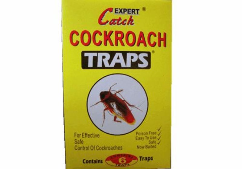 Cockroach Glue (12 Packs)