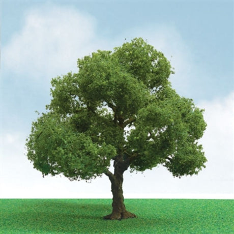 Detailed 75-85mm Elder miniature tree with realistic foliage and bark, perfect for model scenery and dioramas.