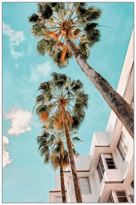 Framed canvas art featuring lush Miami palms and a bright blue sky, perfect for enhancing home or office decor.