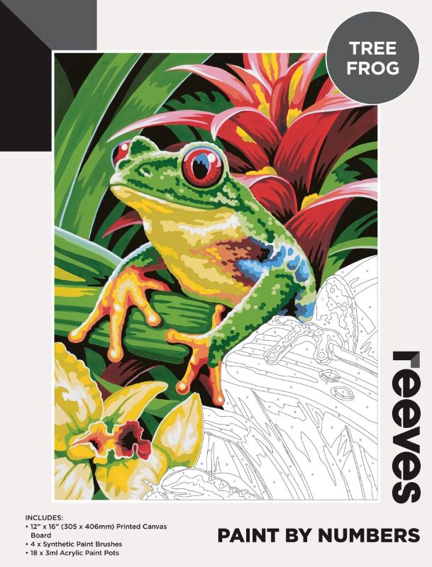 Reeves Paint By Numbers 12x16inch Frog