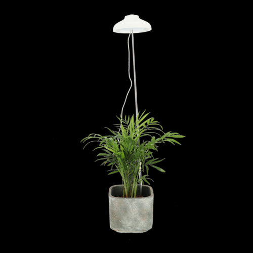 White 74cm Plant Grow Lamp with adjustable height, USB power, and LED light for optimal indoor plant growth.