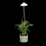 White 74cm Plant Grow Lamp with adjustable height, USB power, and LED light for optimal indoor plant growth.