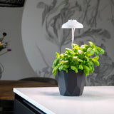 Plant Grow Lamp with white LED light, adjustable height 74cm, USB powered, ideal for nurturing indoor plants.