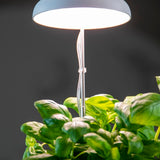 LED Plant Grow Lamp with adjustable height, USB power, and easy assembly for thriving indoor gardening.