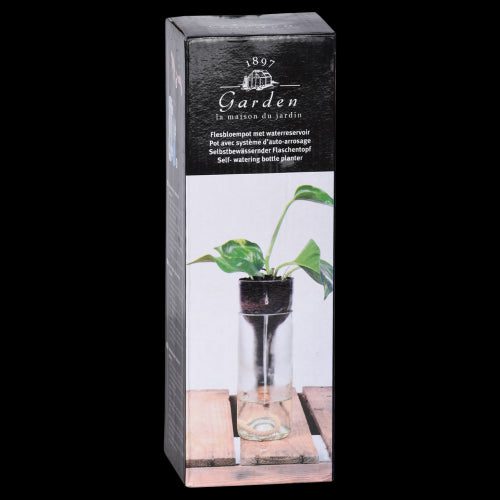 Set of 2 self-watering planters in recycled glass, measuring 7x7x22cm, ideal for effortless indoor plant care.