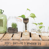 Self-watering bottle planters made of recycled glass, 7x7x22cm, ideal for easy plant care and modern home decor. Set of 2.