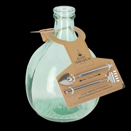 Glass terrarium bottle set with cork top and tools for creating a self-sustaining ecosystem, measuring 22 x 22 x 33 cm.