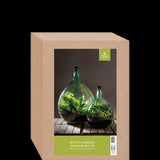 Glass terrarium bottle set (35L) with cork and tools, perfect for creating a self-sustaining indoor garden.