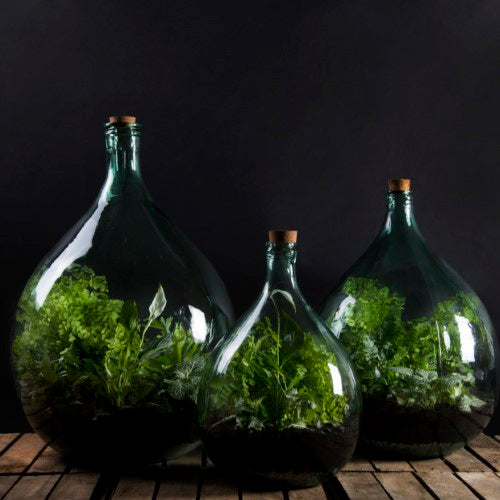 Glass terrarium bottle set (35L) with cork and tools, ideal for creating an indoor micro-ecosystem for plants.