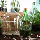 Glass terrarium bottle set with 35L capacity, cork, and tools for creating a self-sustaining indoor ecosystem.