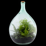 Clear glass terrarium bottle set with cork stopper and tools, designed for creating a self-sustaining indoor garden.