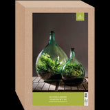 Terrarium Bottle Set (55L) with cork stopper and tools for creating a self-sustaining indoor plant ecosystem.