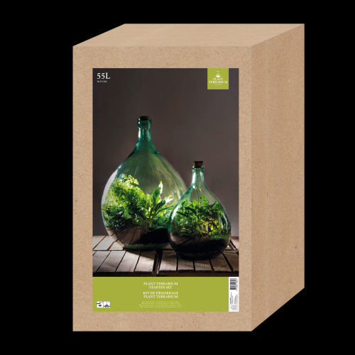 Glass terrarium bottle set (55L) with cork stopper and tools for creating a self-sustaining indoor micro-ecosystem.