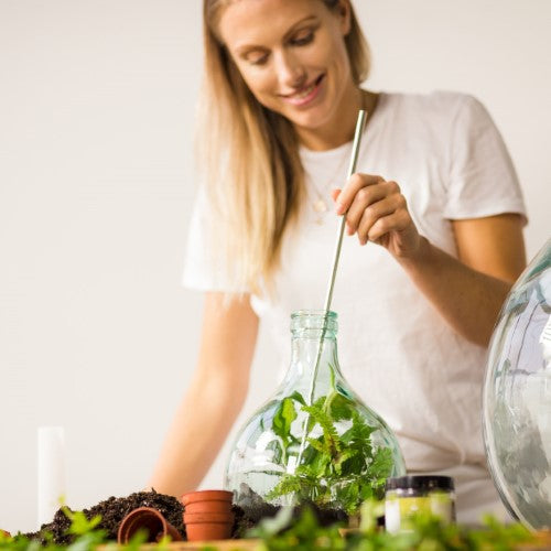 Terrarium Bottle - 55L Set, featuring a glass design, natural cork stopper, and essential tools for a thriving indoor garden.