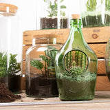 Set of 4 eco-friendly 5L half-open terrarium bottles with cork lids for easy plant maintenance and display.