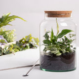 Set of 4 eco-friendly half-open terrarium bottles for indoor gardening, made of recycled glass with cork lids for easy access.