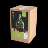 Clear 10L open terrarium, perfect for indoor gardens, durable glass, dimensions 25x25x39cm, ideal for various plants.