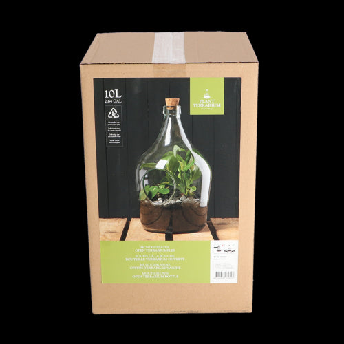 Clear 10L open terrarium with modern design, perfect for indoor gardening and easy maintenance of various plants.