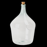 Open glass terrarium bottle (30 x 30 x 46cm) for showcasing indoor plants, ideal for home decor and easy maintenance.