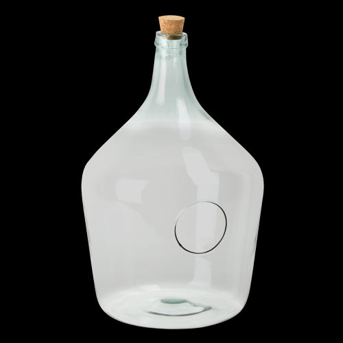 Clear open terrarium bottle with 15L capacity, perfect for displaying and maintaining vibrant indoor plants.