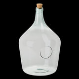 Clear open terrarium bottle with 15L capacity, perfect for displaying and maintaining vibrant indoor plants.