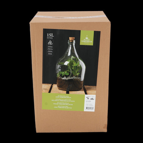 Open glass terrarium (15L, 30x30x46cm) for showcasing plants; ideal for home decor and easy maintenance.