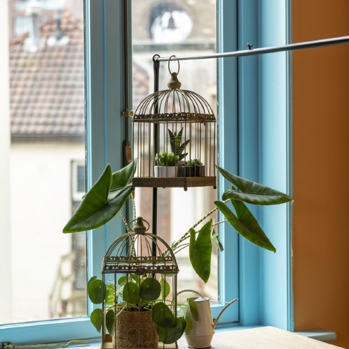 Aged metal green birdcages set of 2, ideal for decor, planters, or feeding with raised rim and hinged lid.