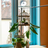 Aged metal green birdcages set of 2, ideal for decor, planters, or feeding with raised rim and hinged lid.