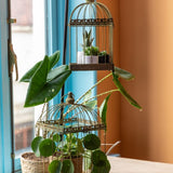 Aged metal green birdcages set of 2, vintage design, versatile planters or feeding tables, with hinged lids and raised rims.