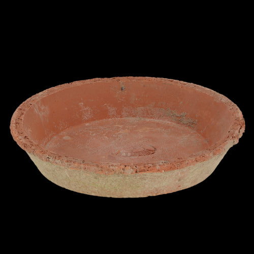 Set of 12 rustic terracotta saucers, 16cm diameter, perfect for catching excess water under potted plants.