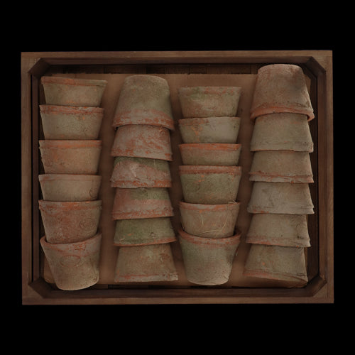 Rustic Tuscan-inspired terracotta pots in a wooden crate, perfect for stylish gardening and plant display.