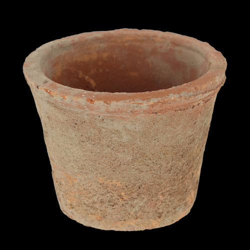 Rustic terracotta pots in a wooden crate, perfect for stylish indoor or outdoor gardening with 24 handcrafted pots.