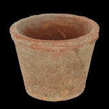 Rustic Tuscan-style terracotta pots with wooden crate, ideal for displaying plants in style. Set of 24, each 11x11x9cm.