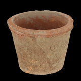 Set of 24 rustic terracotta pots in a wooden crate, perfect for stylish indoor and outdoor gardening.