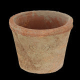 Rustic Tuscan-inspired terracotta pots in a wooden crate, perfect for indoor/outdoor gardening with a charming aged look.