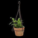 Handcrafted aged terracotta hanging pot (12 x 8cm) with drainage hole and hook for stylish indoor or outdoor plant display.