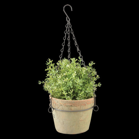 Handcrafted aged terracotta hanging pot (17 x 12cm) with a drainage hole, perfect for indoor or outdoor plants.