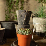 Set of 6 handcrafted round terracotta pots with Tuscan design, aged finish, and drainage holes for healthy plant growth.