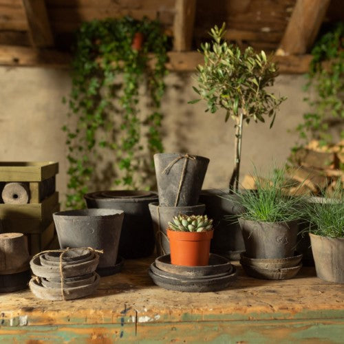 Set of 6 Tuscan-inspired terracotta pots, handcrafted with aged design, perfect for indoor and outdoor plants.